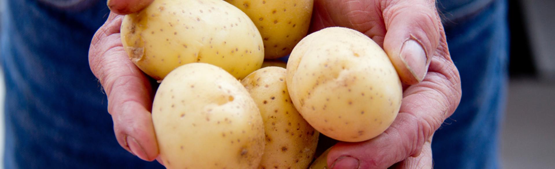 Grand Rapids Farmers Markets Find Farmers Markets in West Michigan